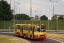 735_5B52025D_Torunska_5B2013-08-015D.JPG