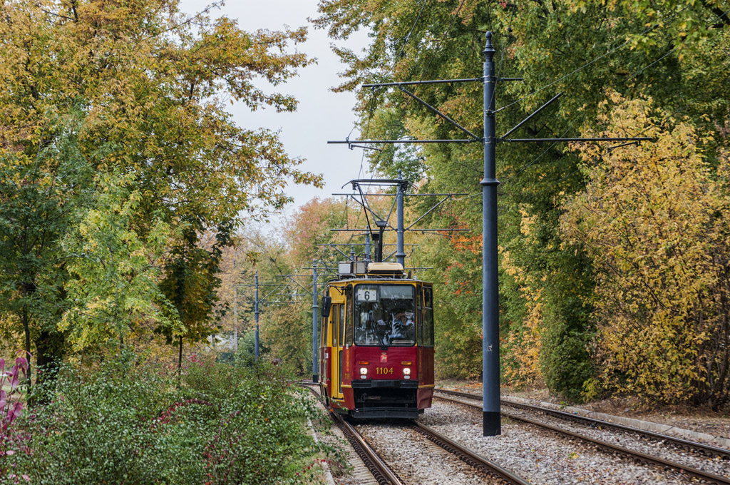 1104
Słowa kluczowe: Objazd