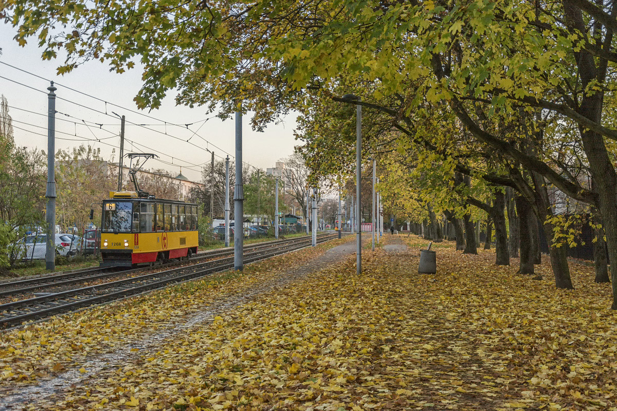 1268
Jesiennie na Hallera.
Słowa kluczowe: JesieĹ