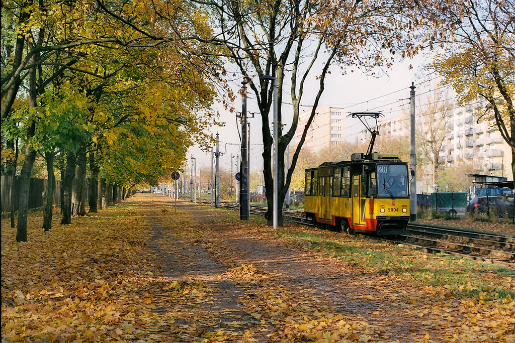 2004
ZĹota jesieĹ z analogiem. SwojÄ drogÄ bardzo krĂłtko drzewa miaĹy Ĺadne liĹcie, doĹÄ szybko opadĹy.
