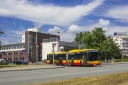 9910.jpg