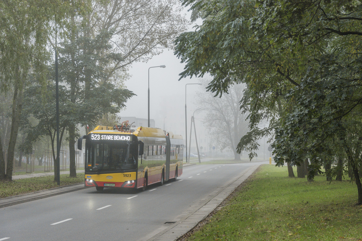 5923
Słowa kluczowe: MgĹa