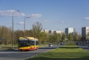 5951.jpg