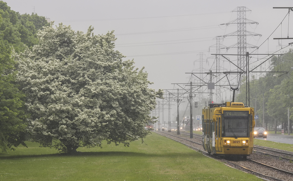 3021
Tramwajowa zetka za linie 8 i 22 na odcinku od Os. GĂłrczewska-Kercelak-Piaski
Słowa kluczowe: zaTramwaj