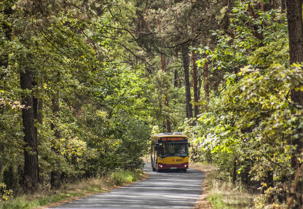 4905
Słowa kluczowe: M121I Natura