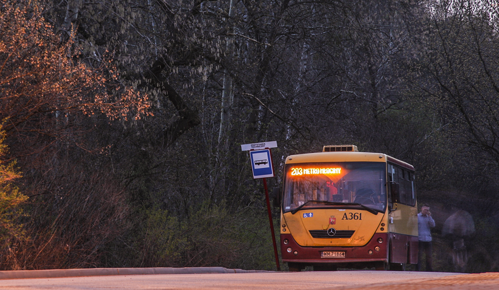 A361
Słowa kluczowe: MOBSOLINA