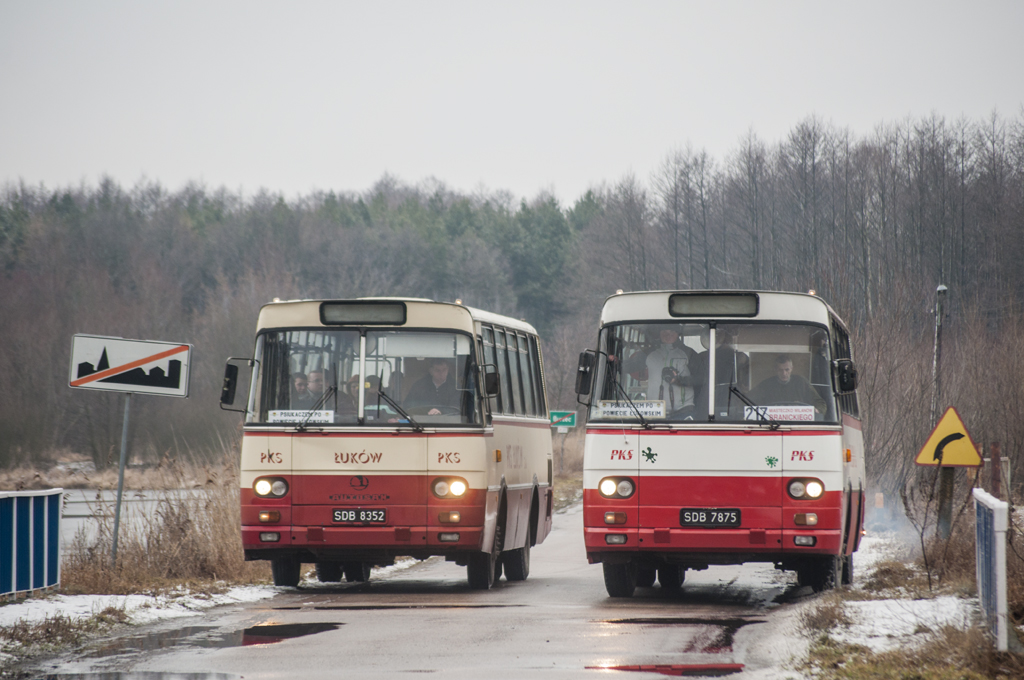 3001
Słowa kluczowe: PPL