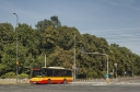 1054.jpg