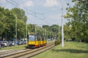 1176.jpg