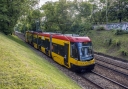 318811.jpg