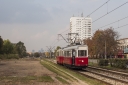 403_wolo.jpg