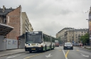 435.jpg