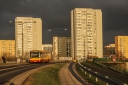 4631-1.jpg
