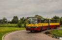 5519.jpg