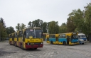 5715.jpg