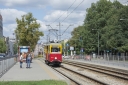 607_madamale.jpg