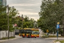 A517.jpg