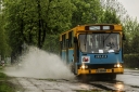 m11.jpg