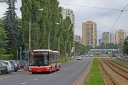 1853384.jpg