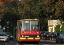 IMG_5203.jpeg
