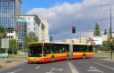 kleszcz.jpg