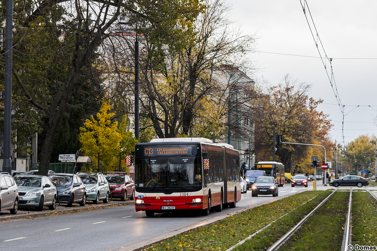 3384
Słowa kluczowe: WĹ2016