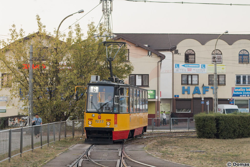 1233
Słowa kluczowe: Kelly