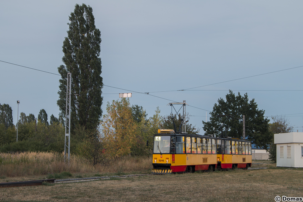 1246+1245
Słowa kluczowe: Kelly
