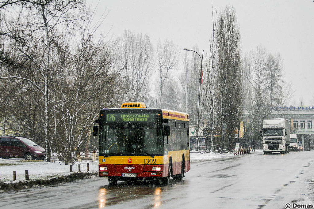 1302
Słowa kluczowe: NM223 Zima