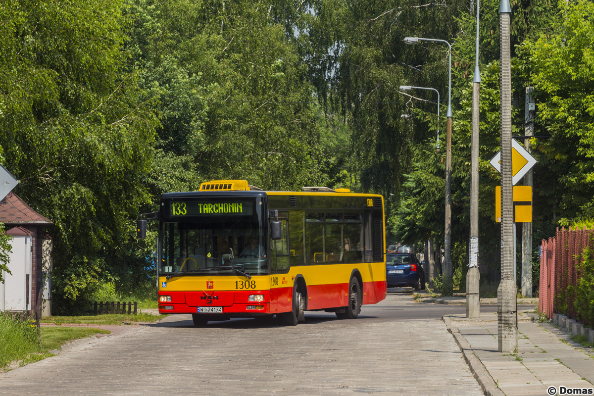 1308
Słowa kluczowe: NM223