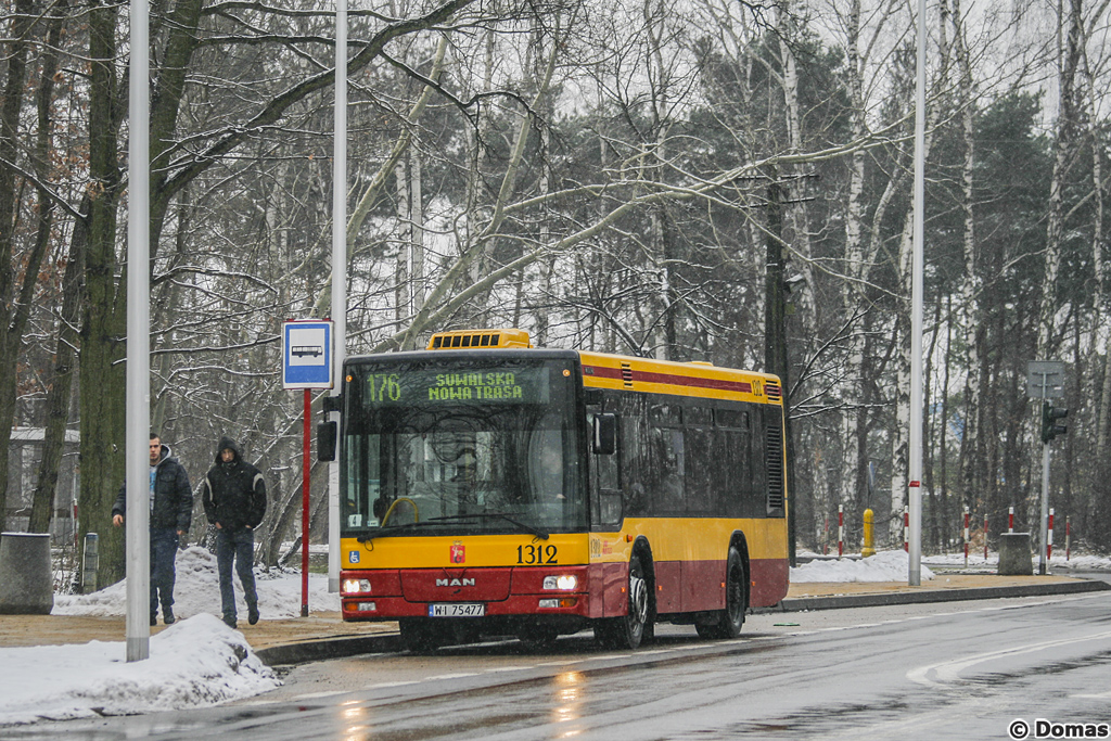 1312
Słowa kluczowe: NM223 Zima