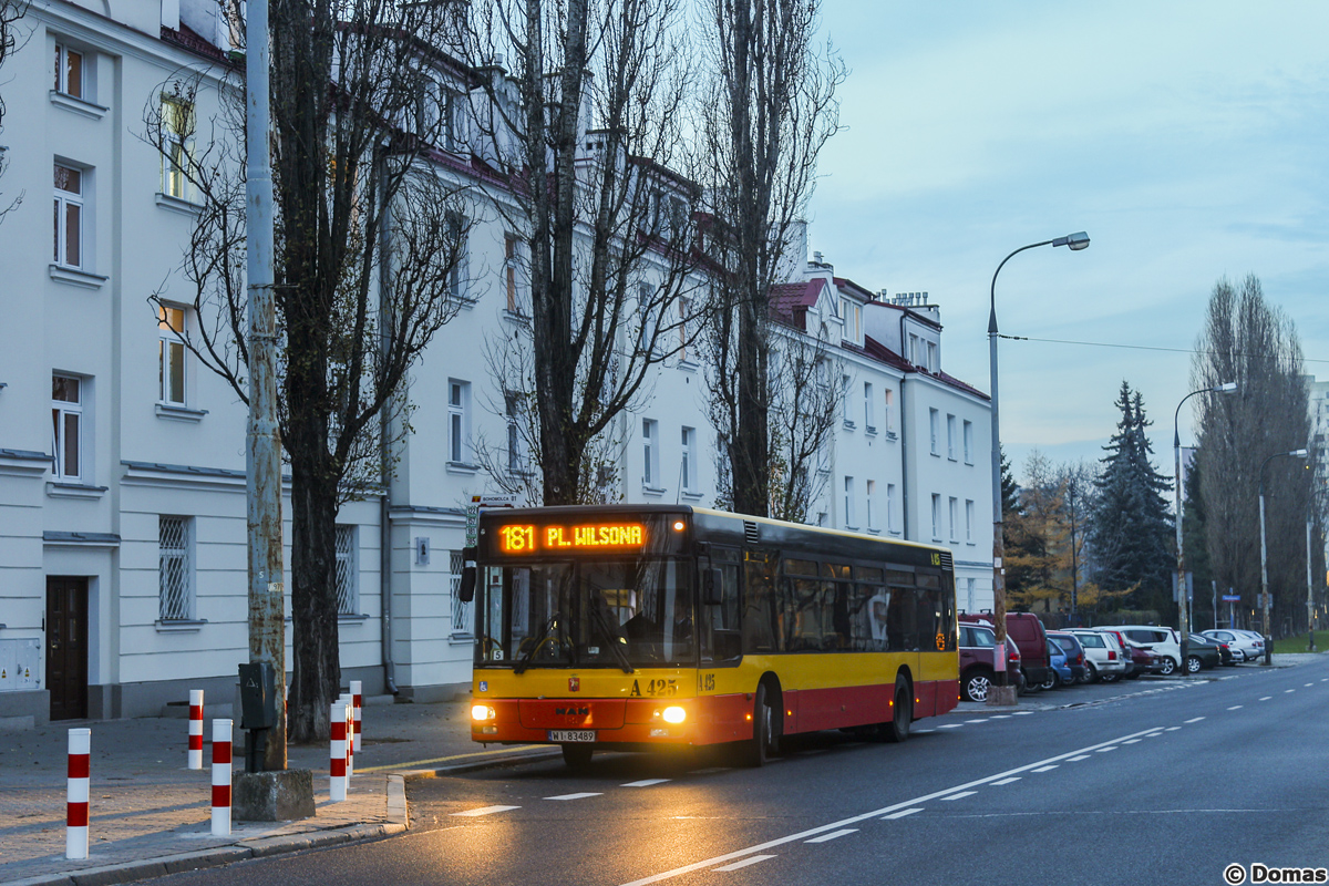 A425
Słowa kluczowe: ITSNL223