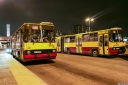 5633_Goclaw.jpg