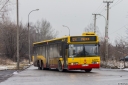 6977_Paluch.jpg
