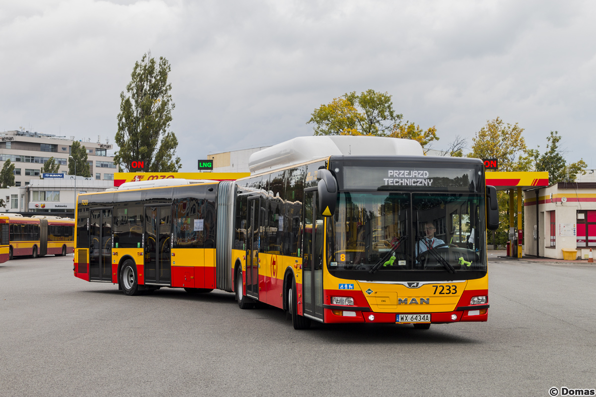 7233
Słowa kluczowe: DTP2019