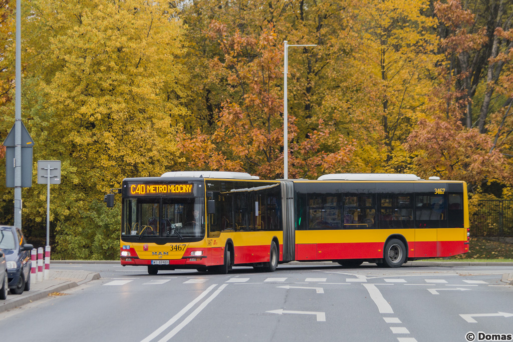 3467
Słowa kluczowe: WĹ2015