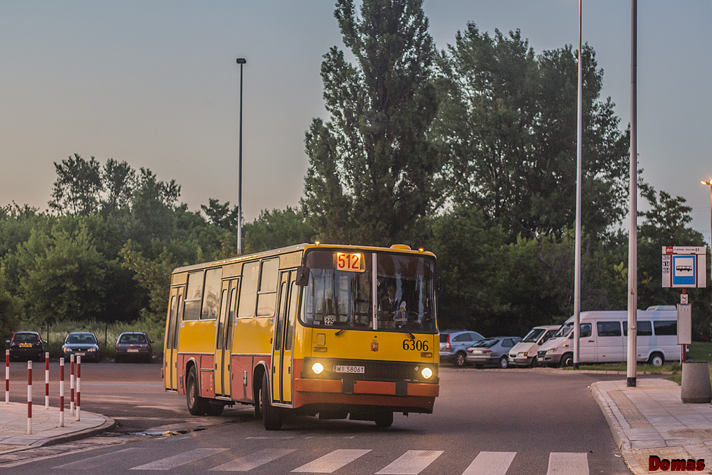 6306
Słowa kluczowe: IK260
