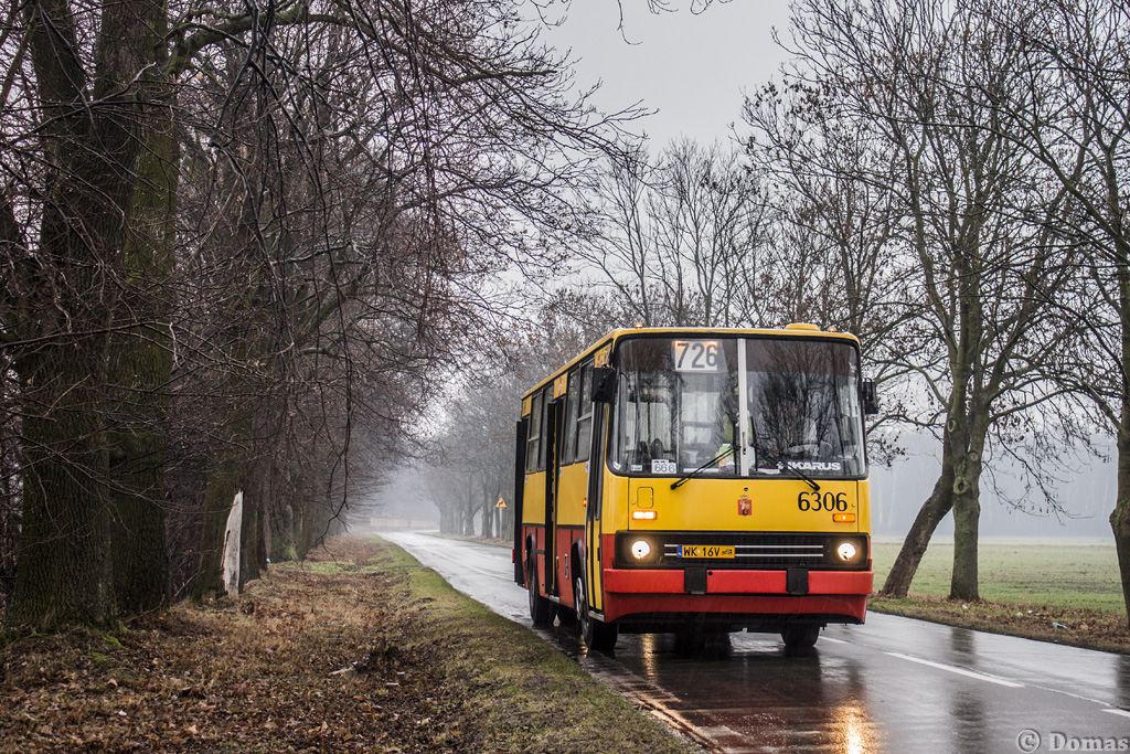 6306
Słowa kluczowe: TGKMNZ3 IK260