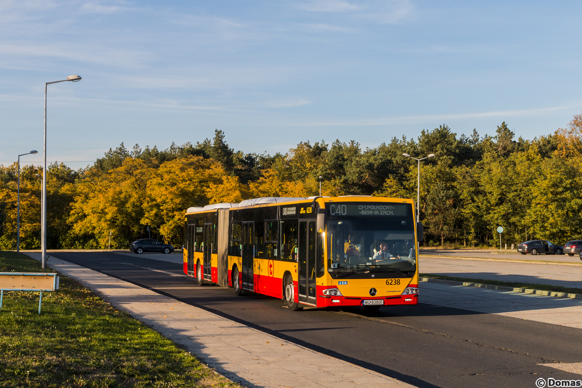 6238
Słowa kluczowe: WĹ2019