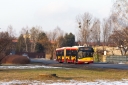 8433.jpg