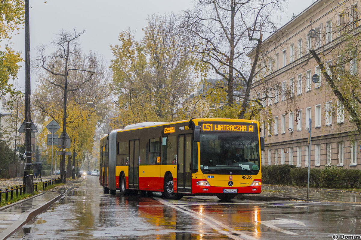 9828
Słowa kluczowe: WĹ2016