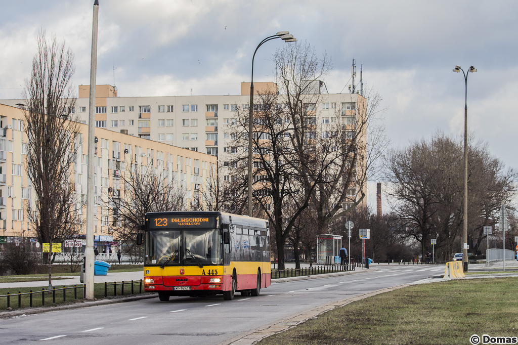 A445
Słowa kluczowe: ITSNL223