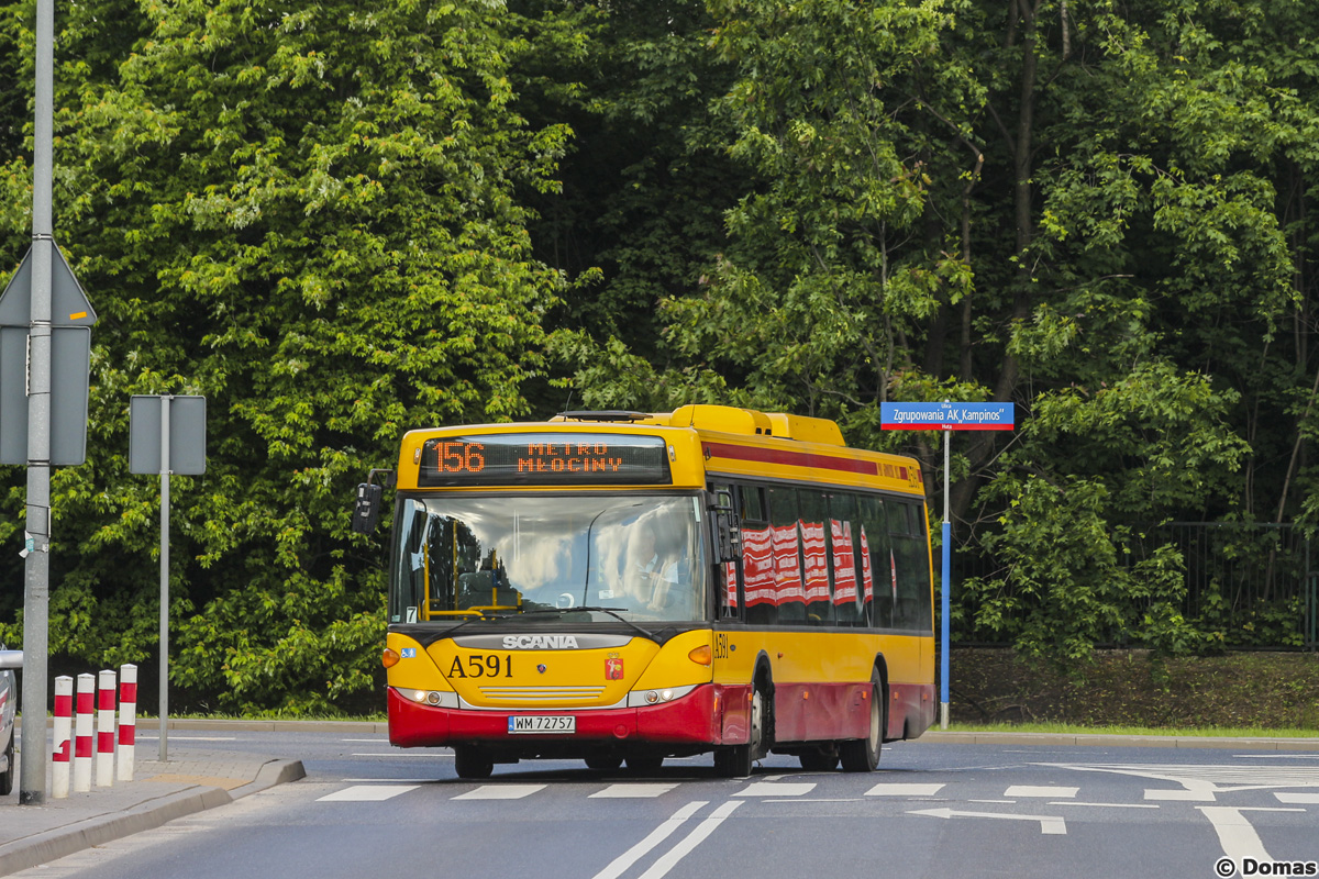 A591
