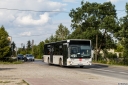 116_Golkow_Golkowska.jpg