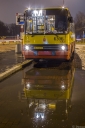 6306_Torwar.jpg