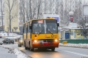 6404_Saska.jpg