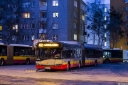 8399_Marysin.jpg