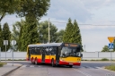 8718_Przyczolkowka.jpg