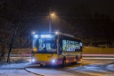 9069_WisniowaGora.jpg