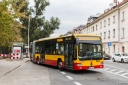 9852_Dobra2.jpg